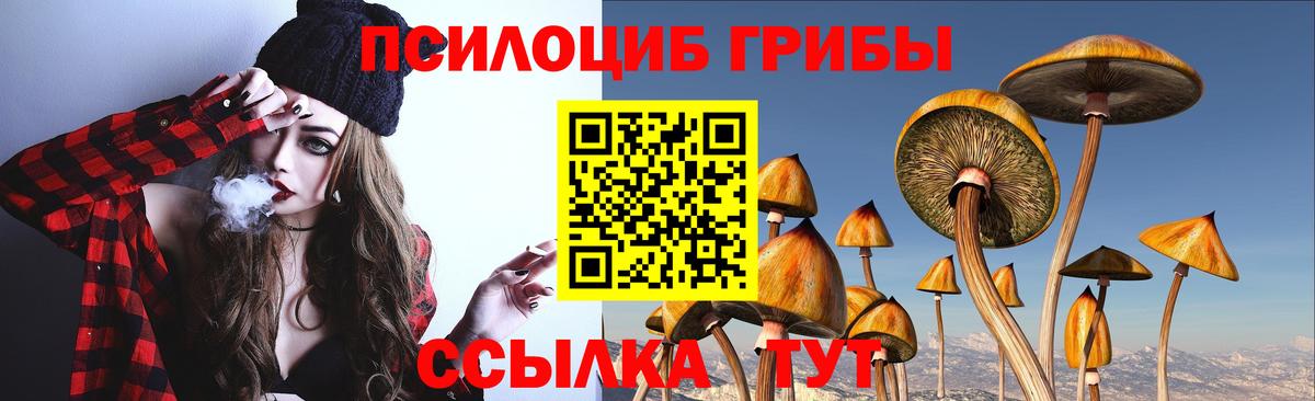 Галлюциногенные грибы Cubensis  Вход с VPN  где можно купить   Галлюциногенные грибы MAGIC MUSHROOMS  Каменск-Шахтинский 